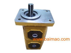 cbgj雙聯(lián)齒輪油泵,專業(yè)的cbgj雙聯(lián)齒輪油泵 ,cbgj雙聯(lián)齒輪油泵,專業(yè)的cbgj雙聯(lián)齒輪油泵 生產廠家,cbgj雙聯(lián)齒輪油泵,專業(yè)的cbgj雙聯(lián)齒輪油泵 廠家直銷