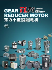 電動(dòng)機(jī) 東力電機(jī) 北京 服務(wù)中心